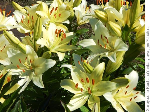 С Днем рождения,Машенька!