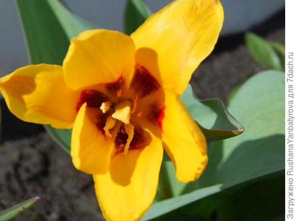 первый пошел!