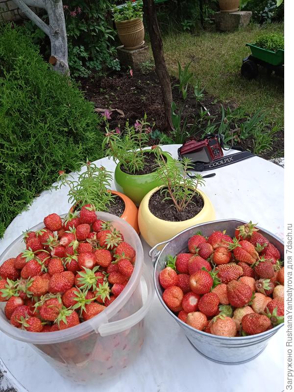 Один из сборов.