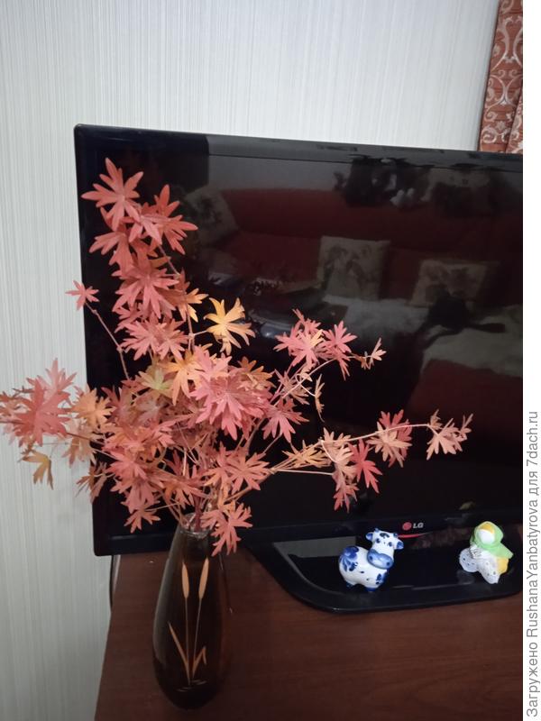 Осень подарила мне букетик!