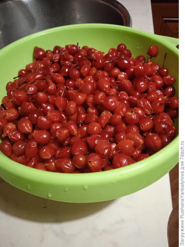 Витаминный подарок осени.