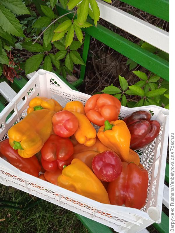 Загляденье-объеденье!