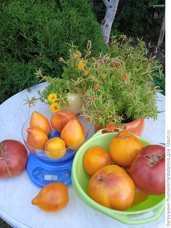 Вспомним лето!