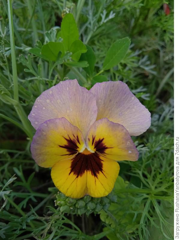 Это конец сентября.