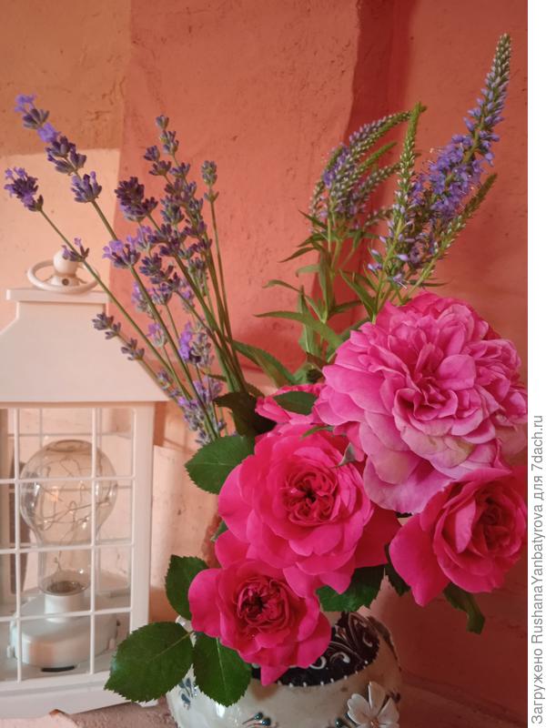 Не нашла фото на клумбе, только букетики из французской.