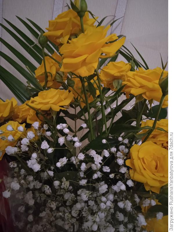 Пусть жизнь будет солнечной!