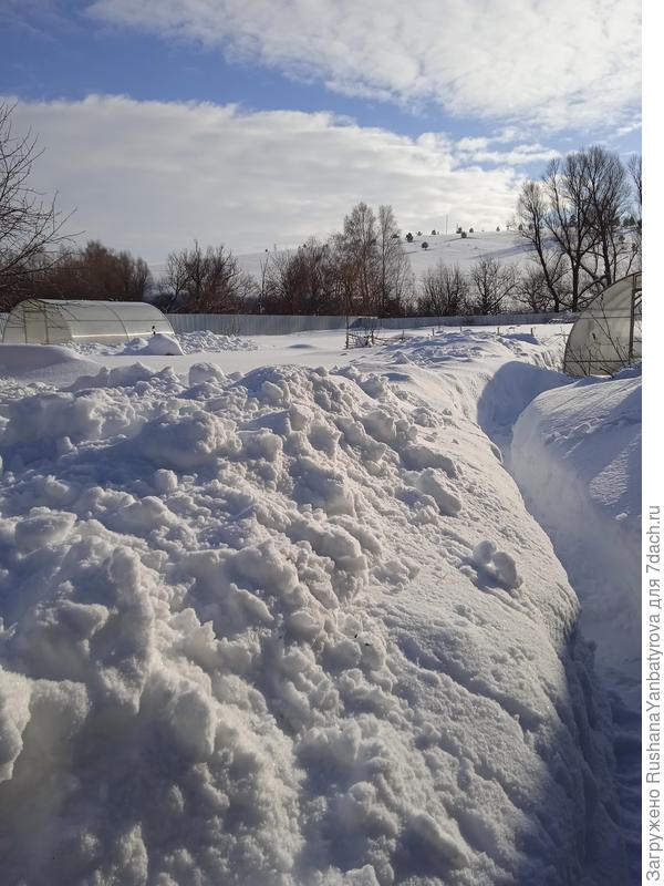 На даче тропки откопали