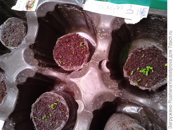 В правой всё хорошо.