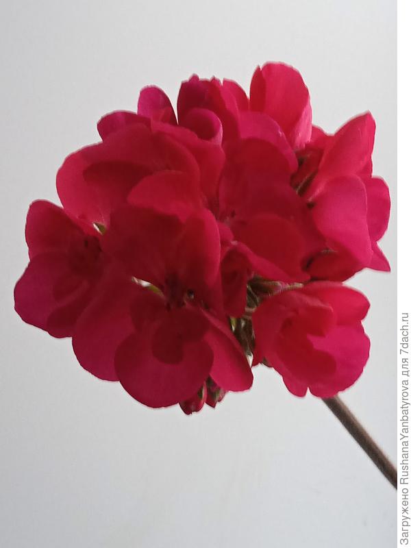 Яркая краска для тебя!