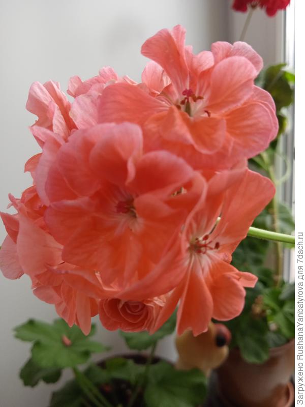 Пусть жизнь будет яркой!