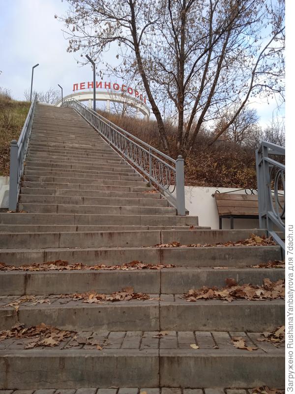 Впереди ещё 100 ступеней, а всего 205.