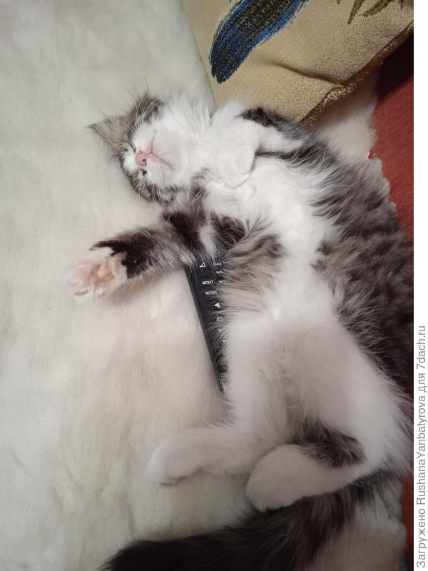 Фигурное спание.