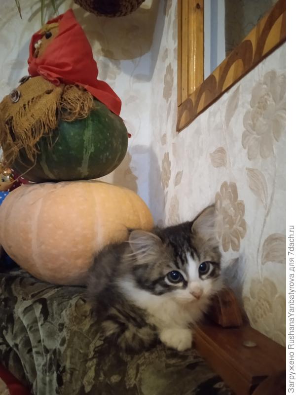 Осваиваем всё более высокие места.