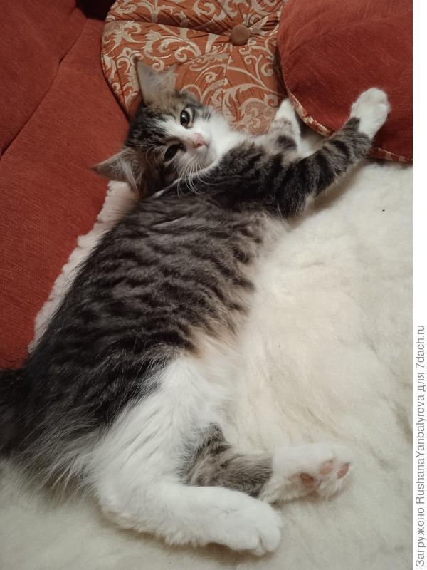 Потягушеньки!