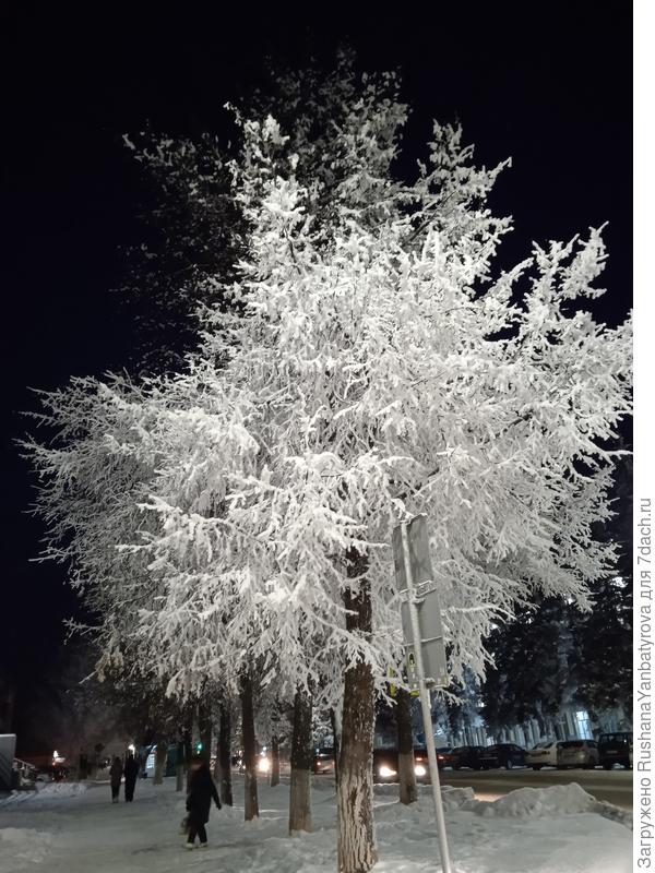 Ночная сказка.