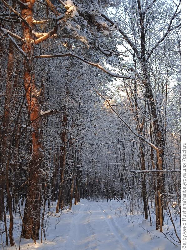 В морозный денек