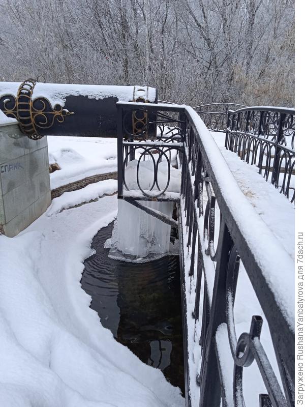 Родник Пушка