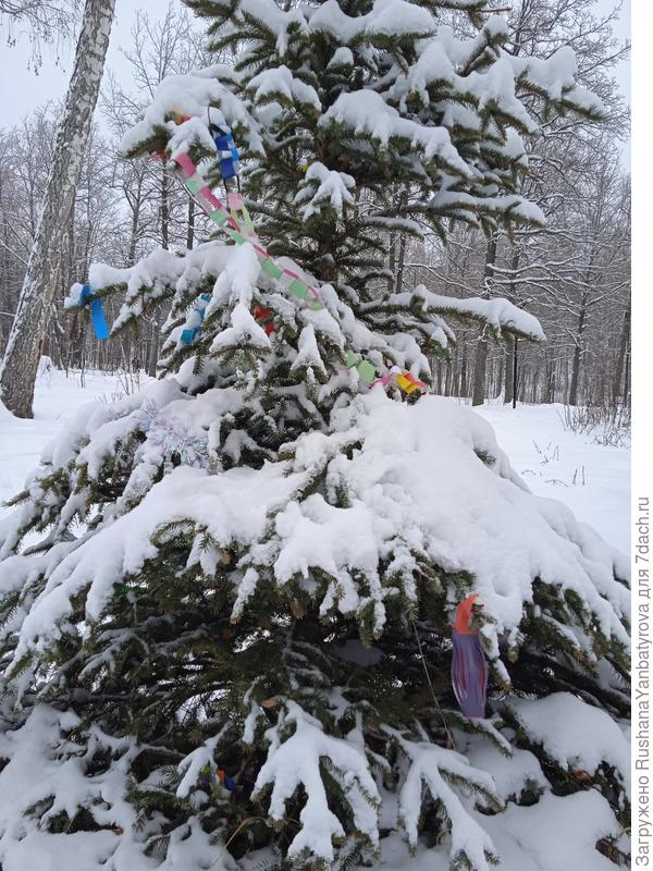 До чего ж у нас веселый возле елки хоровод!