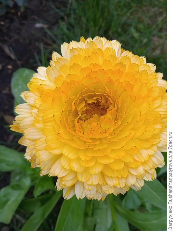 Осенняя красота.