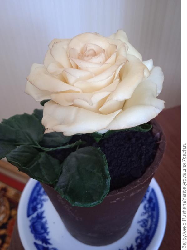 А это мне подарок на 8 марта от дочери