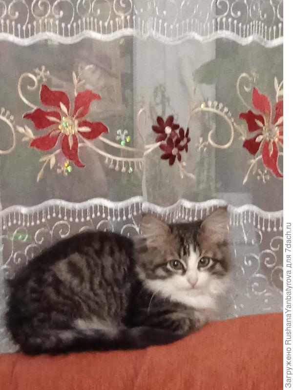 Уговорила позировать.