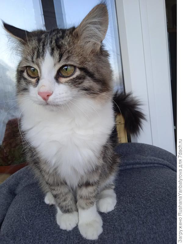 Нам 6 месяцев. На балконе в солнечный день.