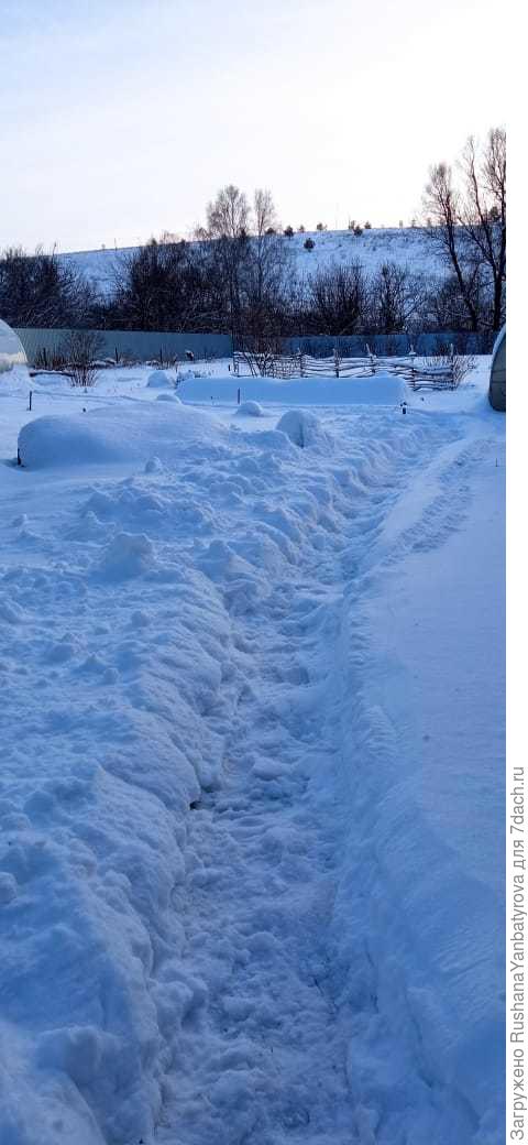 Дети дорожки на даче сделали