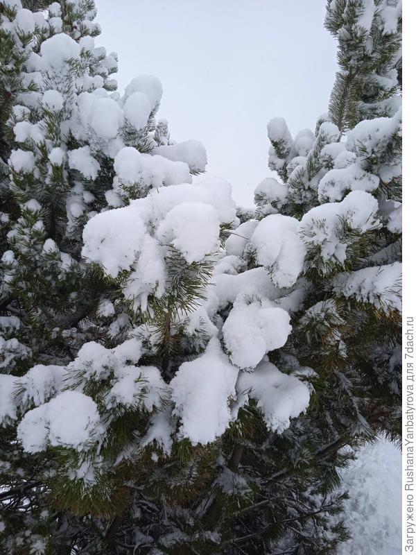 В лесопарке