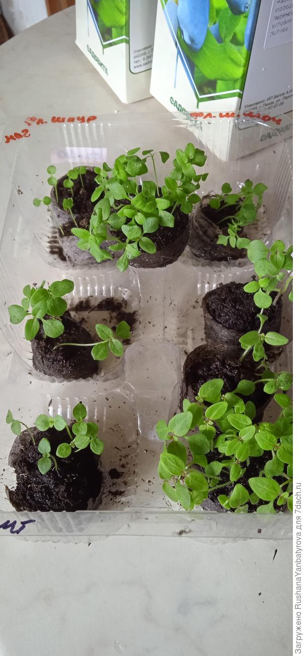 Это излишки, но выглядело так