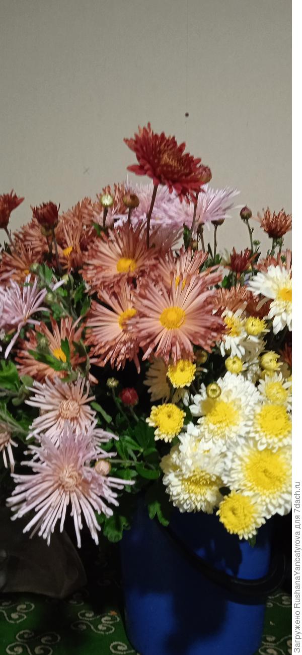 Последний букет