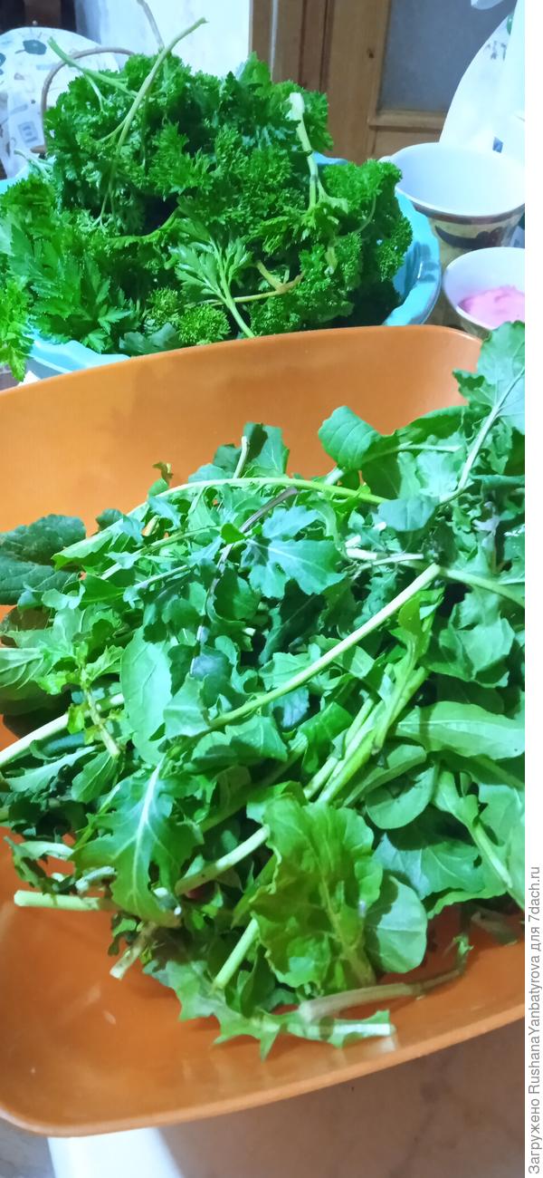 Последний урожай.