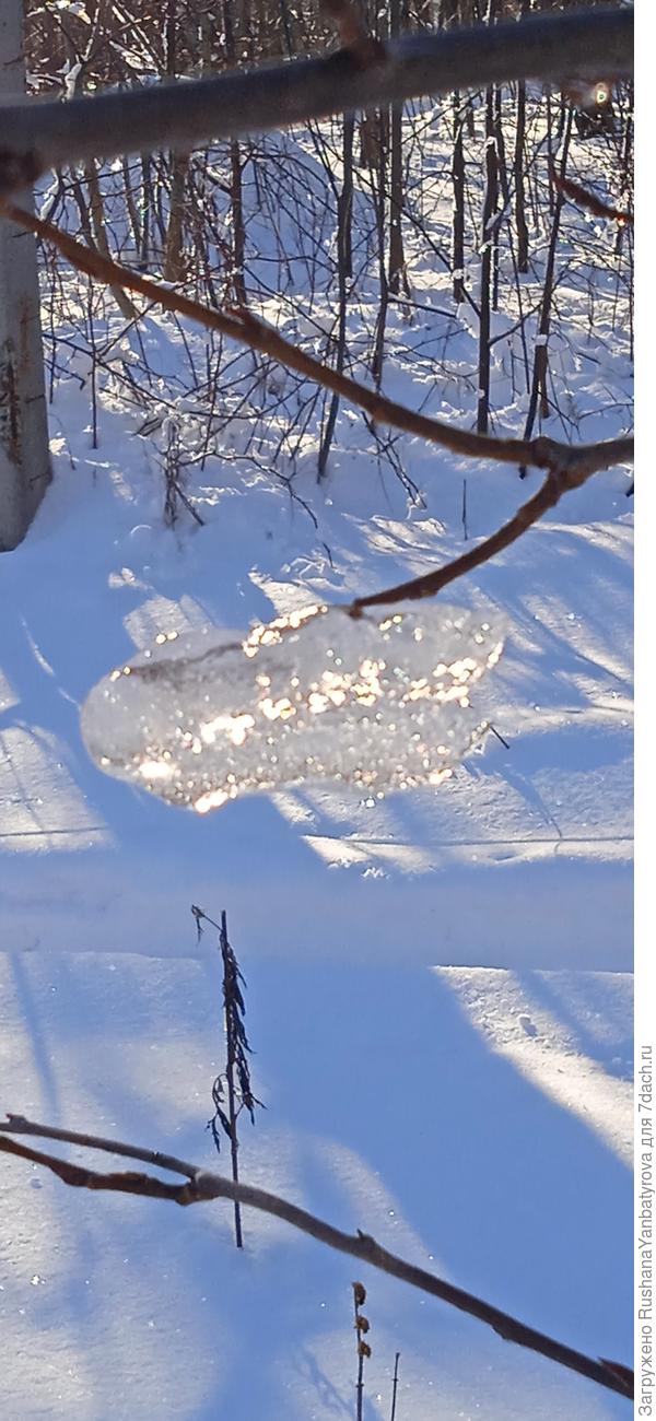 Чудо-сосулька!