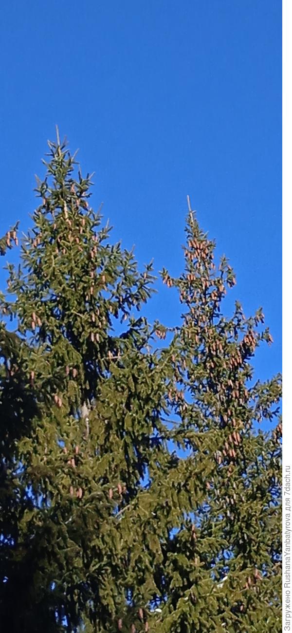 Синь неба хороша!