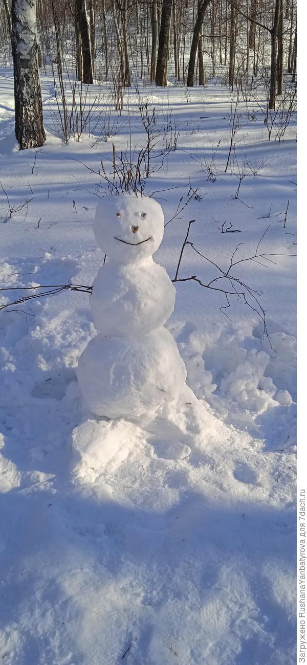 Снеговики по одному и парами повсюду.
