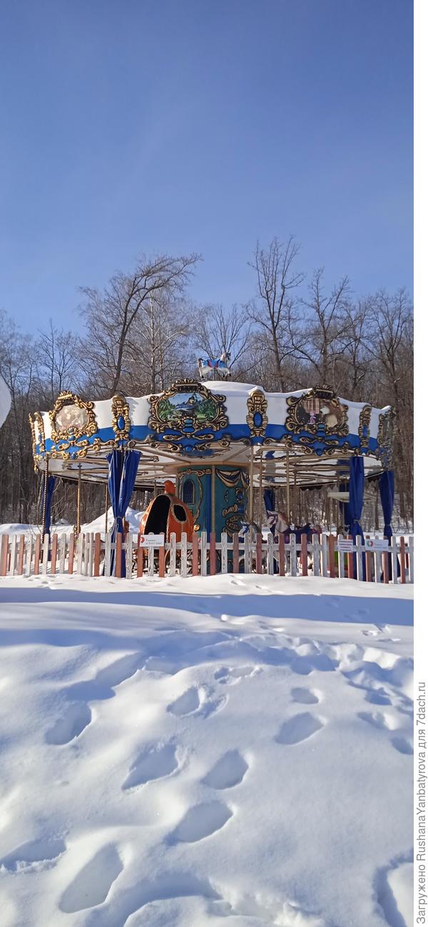 В зимнем парке так бело, так бело...