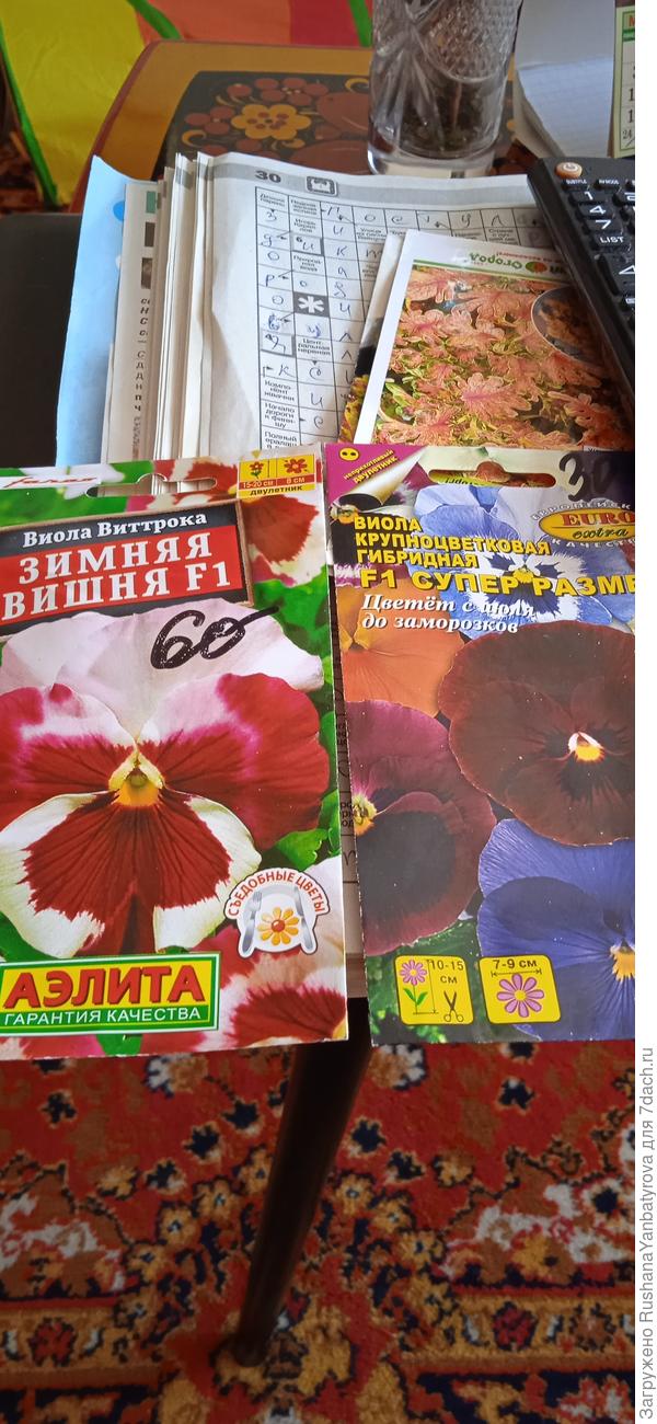 Будущая красота!