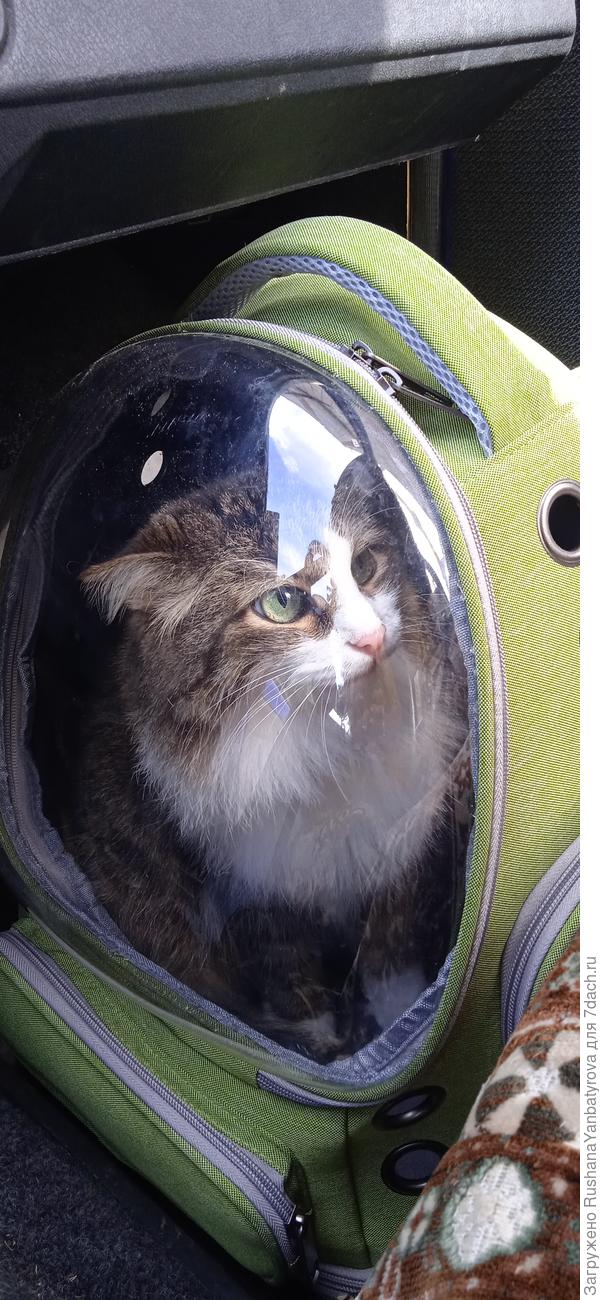 На прогулку зимой!