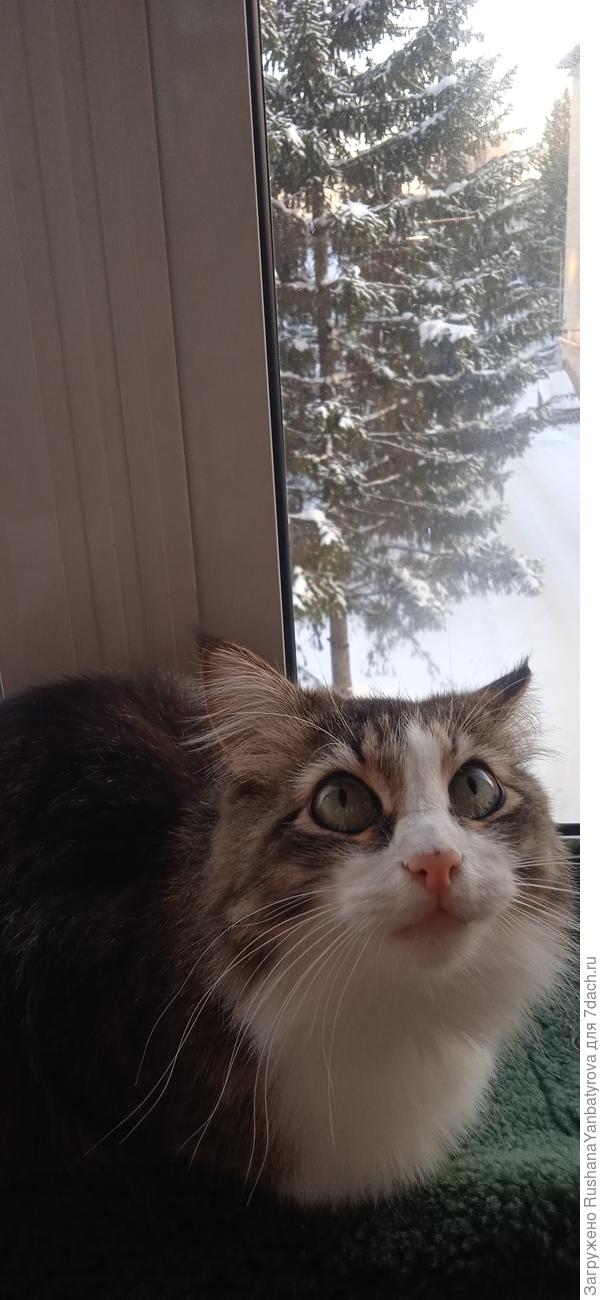 Ждем весну!