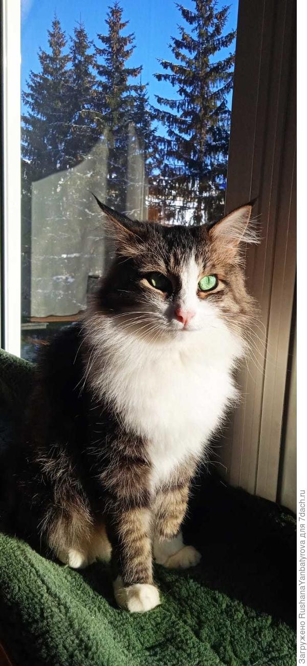 Ждёт весну.