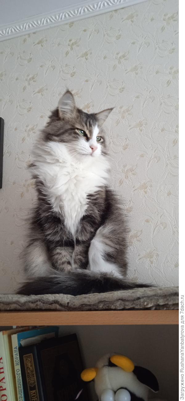 На днях. Нам 3 с половиной года.