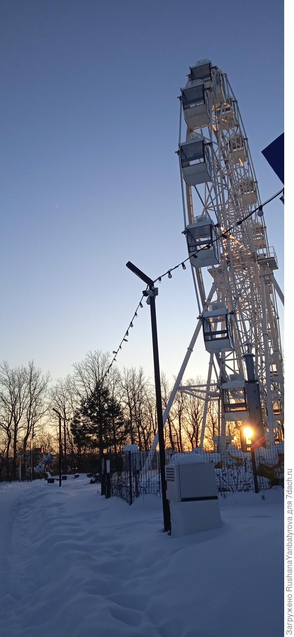 На закате. Днём &amp;quot;на солнце&amp;quot; совсем  не сумела