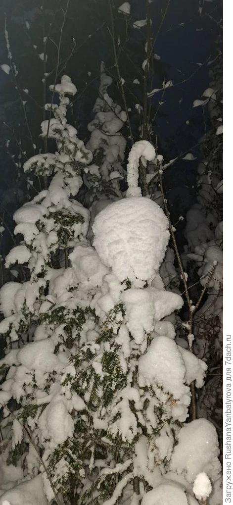 Лебедь из снега!