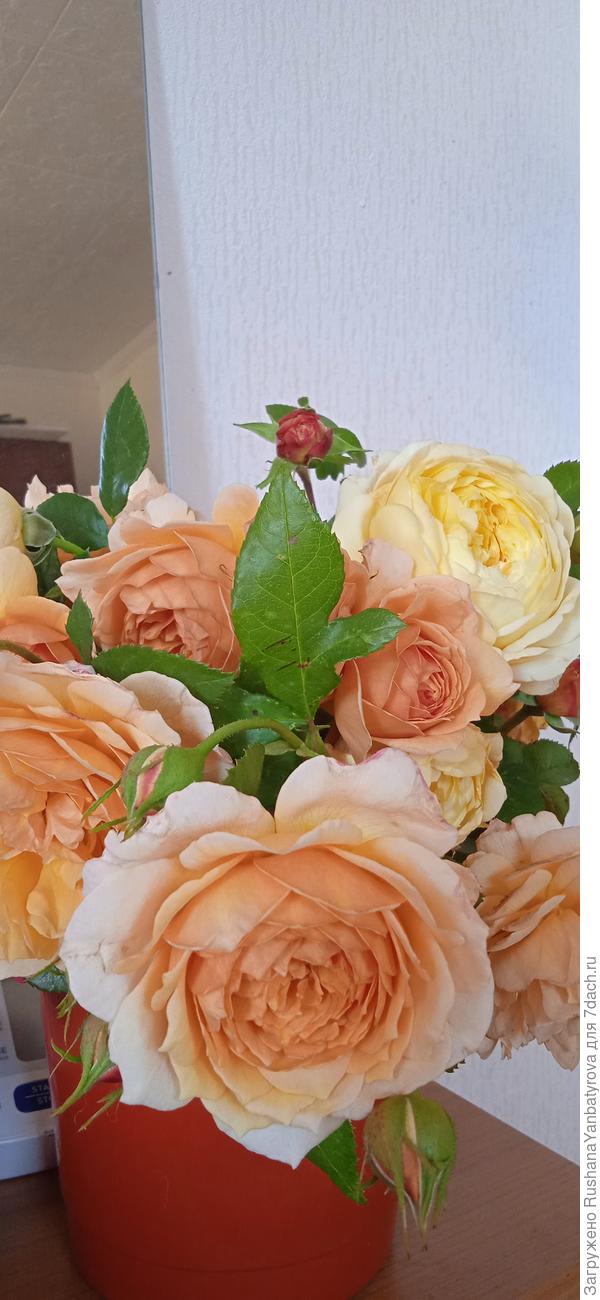 Осенний букет - Грейс и Леди.