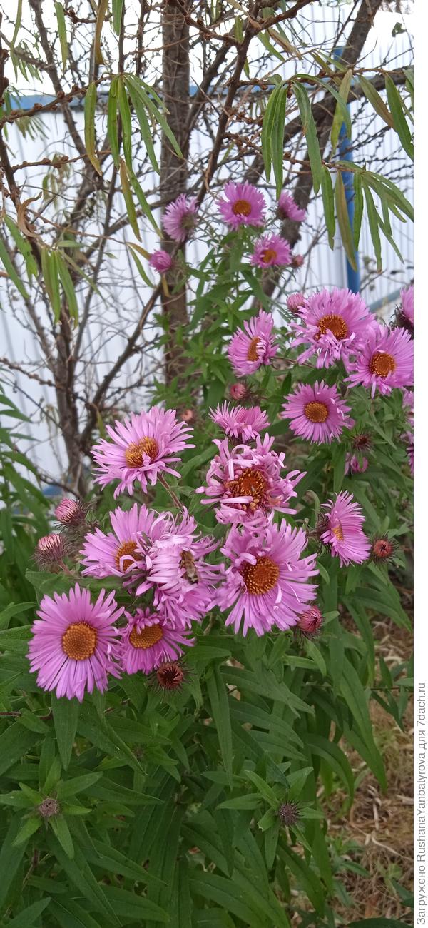 Она же в другом месте и уже другая