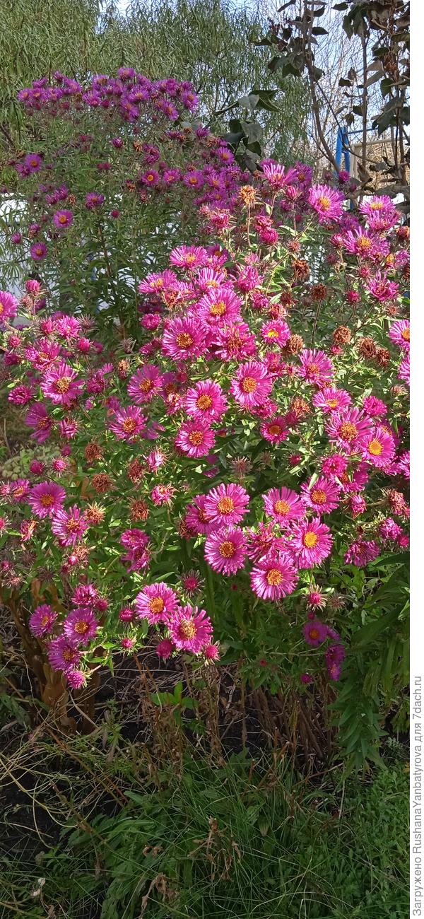 На переднем плане Дик Баллард