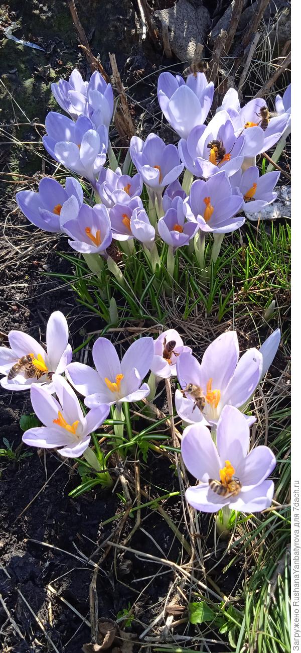 Весна не за горами!