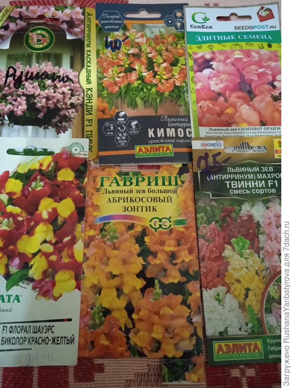 Низкорослые