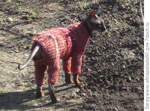 Ранней весной на даче.