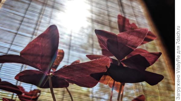 Скажите пожалуйста как называется)