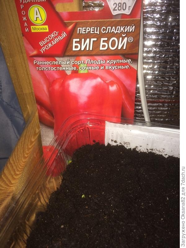 первые петельки